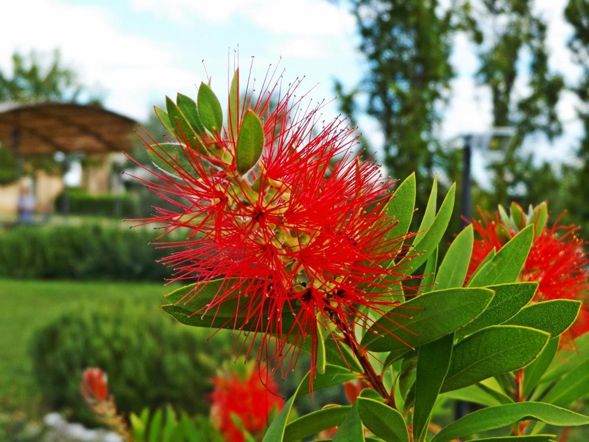 Casa Vacanze La Fiorita Terontola Ruang foto